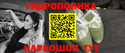 крисы Ирбит