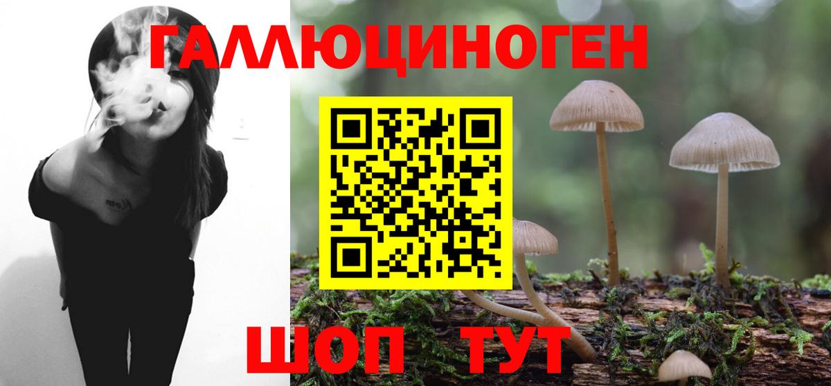Лабытнанги  Псилоцибиновые грибы Psilocybine cubensis  Вход с VPN 