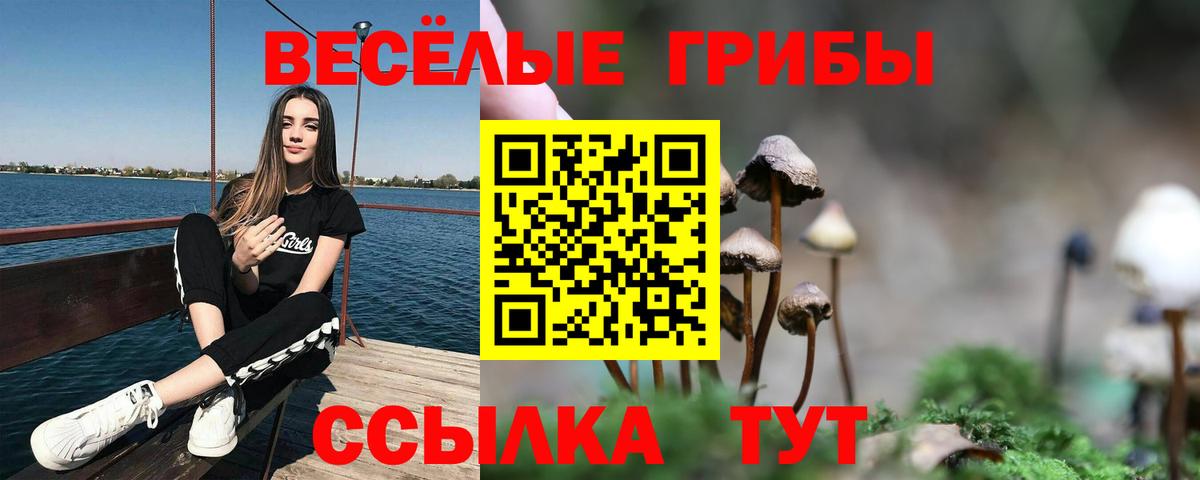 Галлюциногенные грибы Psilocybine cubensis Лабытнанги